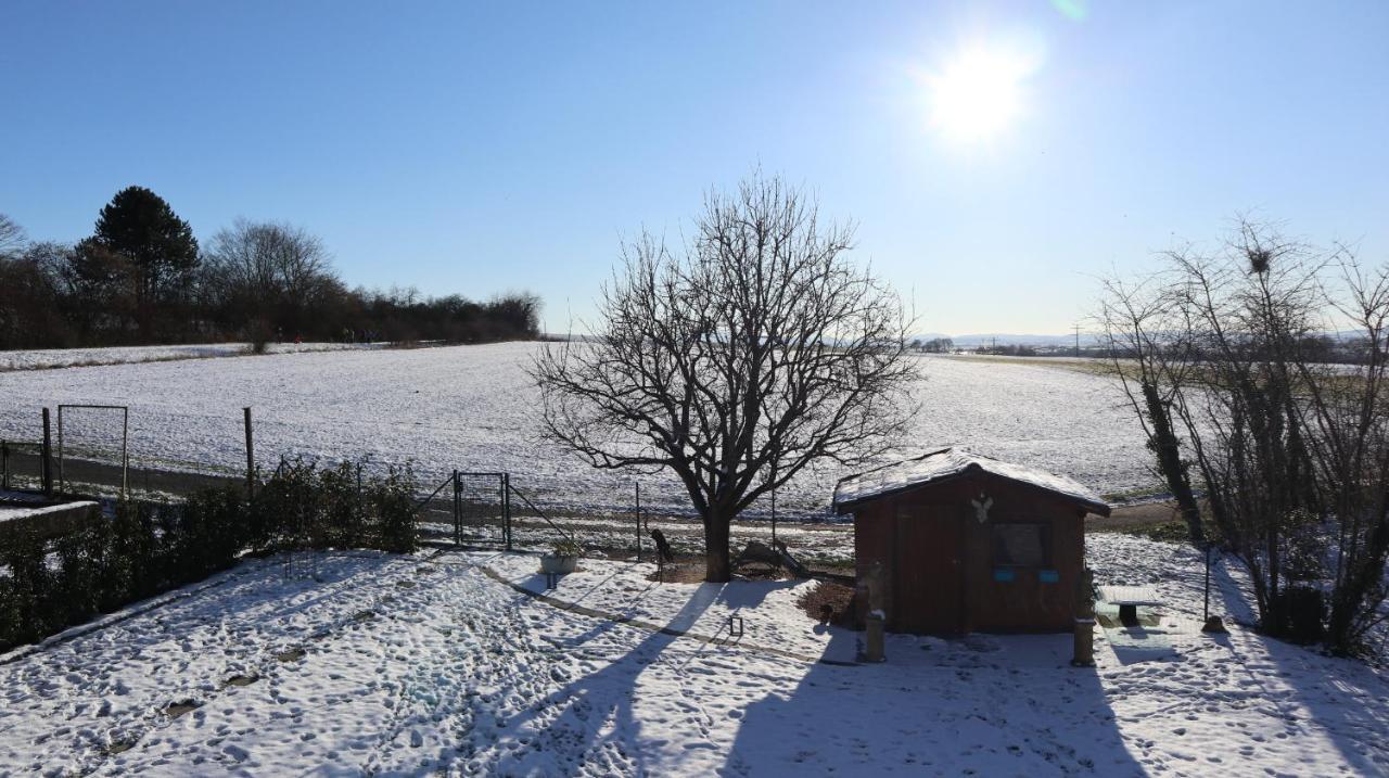 Charmante Ferienwohnung 100 Qm Groß-Umstadt Buitenkant foto